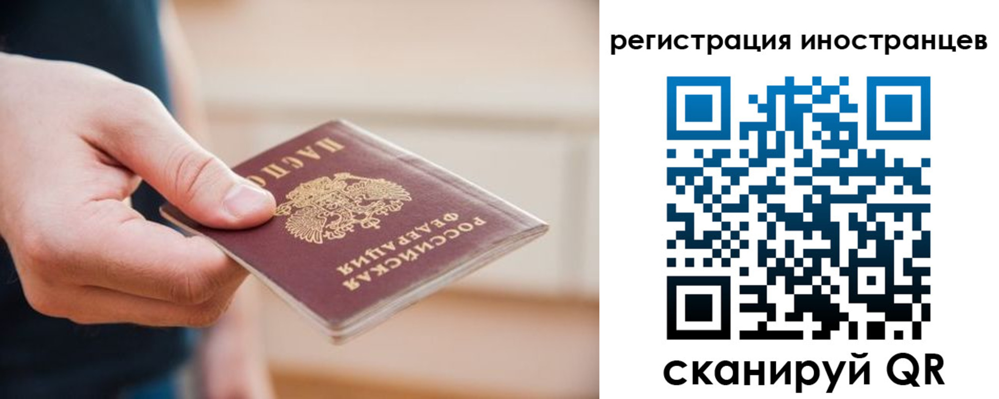 прописка гарантия в Ершове